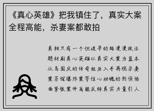 《真心英雄》把我镇住了，真实大案全程高能，杀妻案都敢拍