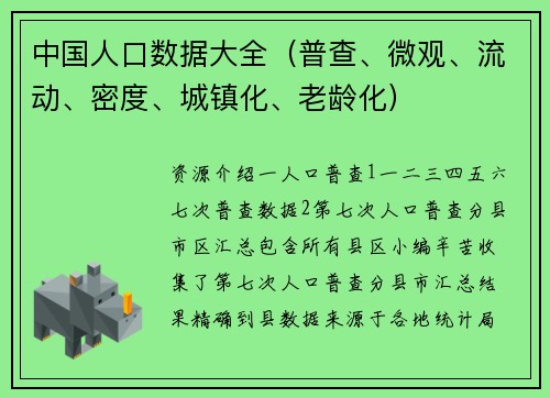 中国人口数据大全（普查、微观、流动、密度、城镇化、老龄化）