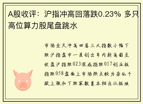 A股收评：沪指冲高回落跌0.23% 多只高位算力股尾盘跳水