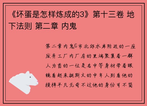 《坏蛋是怎样炼成的3》第十三卷 地下法则 第二章 内鬼
