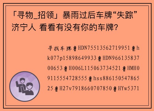 「寻物_招领」暴雨过后车牌“失踪” 济宁人 看看有没有你的车牌？