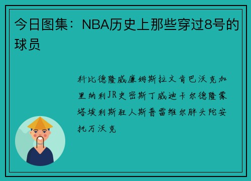 今日图集：NBA历史上那些穿过8号的球员