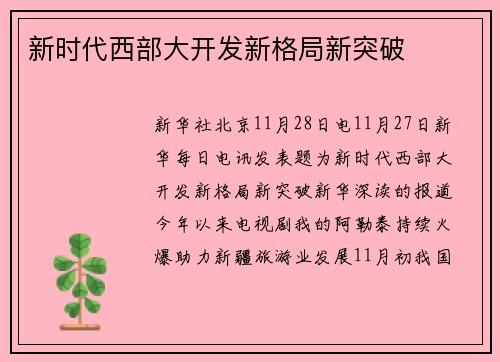 新时代西部大开发新格局新突破